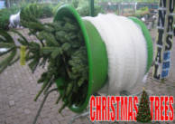 Cheapest Non Shed Christmas Trees Finglas Ashbourne Dublin Meath